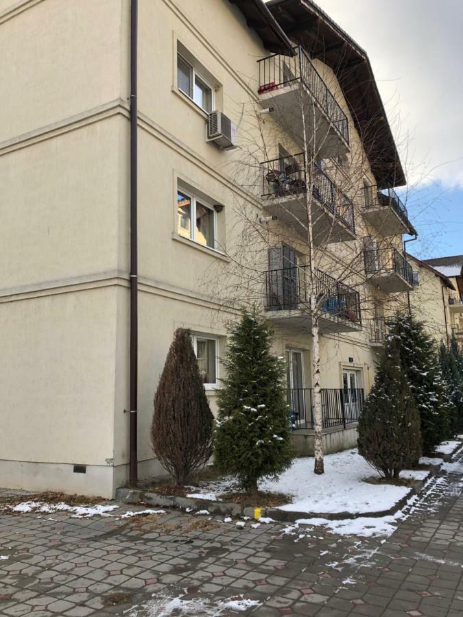 Апартаменти Apartament Antoaneta Ришнов Екстер'єр фото